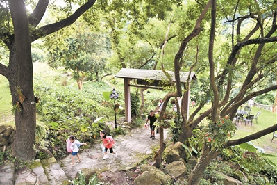增城派潭鎮樟洞坑村環境優美，風景宜人。廣州日報全媒體記者喬軍偉攝（資料圖片）