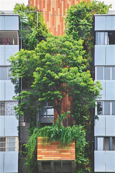 新式垂直綠化理念，不會讓植物完全遮蔽建筑，相反，設計師會留出對流風口，讓建筑冬暖夏涼。1