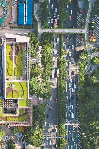 289藝術園區空中花園，對稱布局中蘊含變化。2