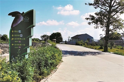 廣州市番禺區海鷗島農業公園