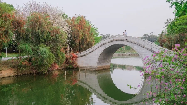 華南農業大學.jpg