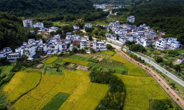 米埗小鎮.jpg