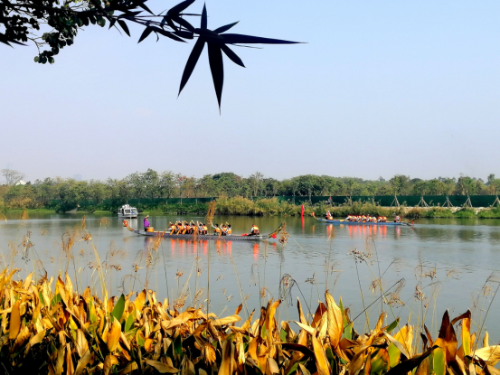 廣州用“繡花功夫”治水  提升城市精細(xì)化管理水平3713.png