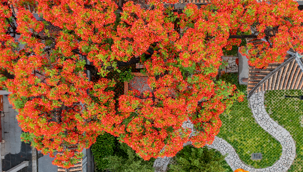 DJI_0447-HDR