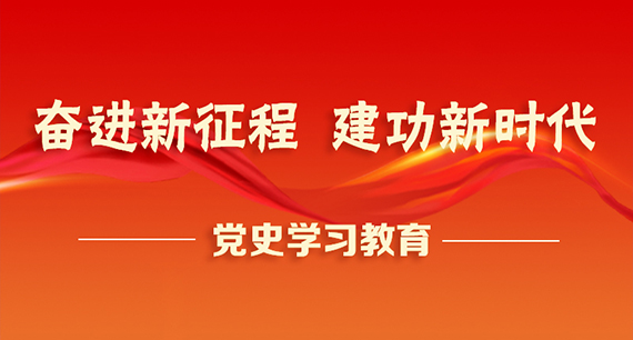 奮進新征程 建功新時代 ——黨史學習教育專題