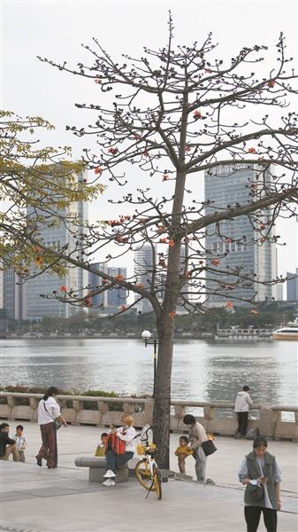 自動轉存圖片