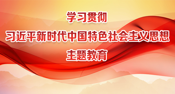 學(xué)習(xí)貫徹習(xí)近平新時(shí)代中國(guó)特色社會(huì)主義思想主題教育