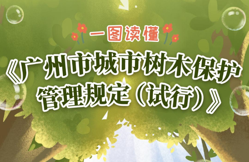 【一圖讀懂】《廣州市城市樹木保護管理規定（試行）》