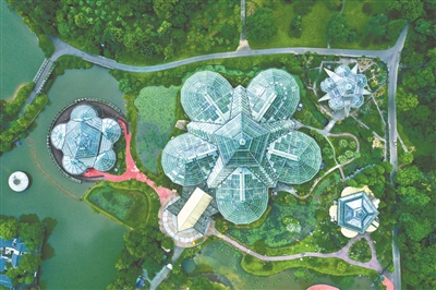 “1+3+N”城園融合體系助力綠美廣州生態建設