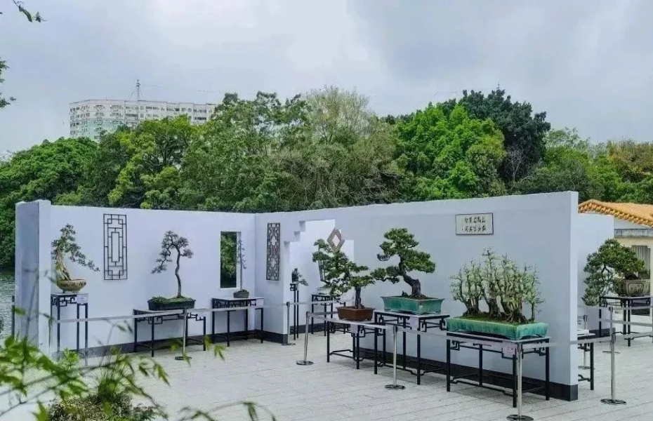 賞花、看展、游園！廣州誠邀全國人民來穗“園博walk”