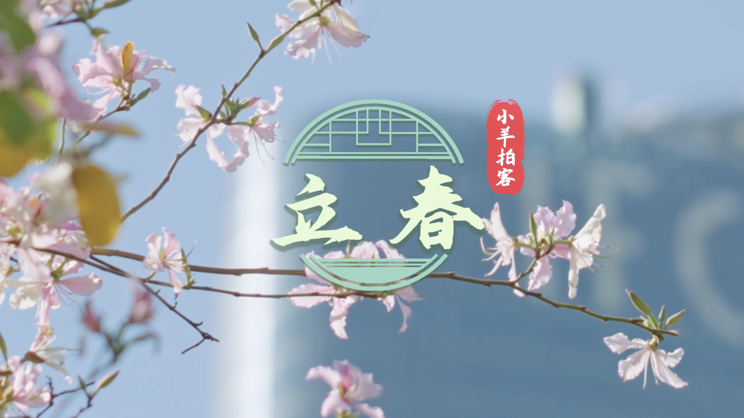 立春，花開嶺南待客來