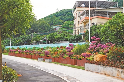 道路綠化大提升 和美鄉村換新顏