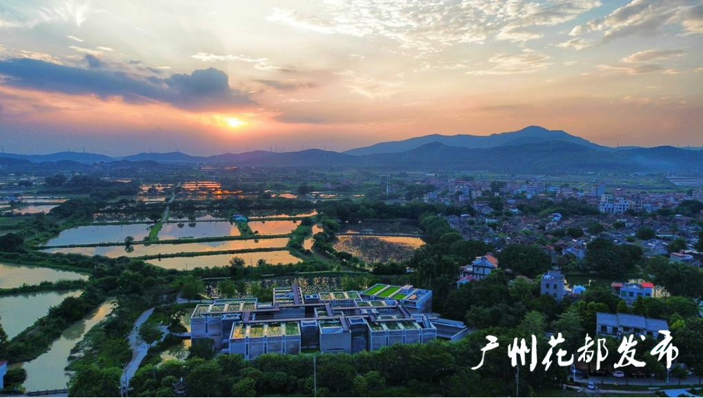 廣州一近700年古村“活了起來(lái)”，多業(yè)態(tài)發(fā)展助村民增收