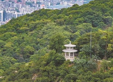 廣州市開(kāi)展紅棉老兵生態(tài)林建設(shè)活動(dòng)