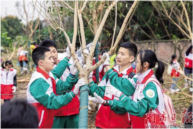 在廣州海珠國家濕地公園二期，前來參與公益植樹活動(dòng)的市民群眾絡(luò)繹不絕。