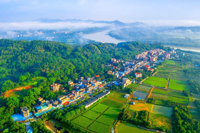 聚焦典型強示范！今年增城建設這12個典型村