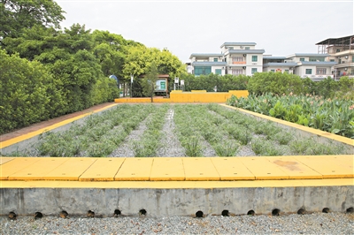 廣州將農村生活污水治理作為建設宜居宜業和美鄉村的“切入點”