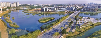 廣州市林業和園林局舉辦2024年無人機造林應用現場觀摩會