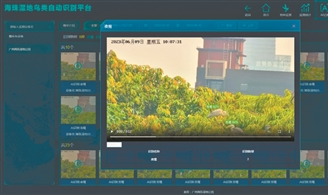 鳥臉識別 海珠濕地解鎖生態監測新技術