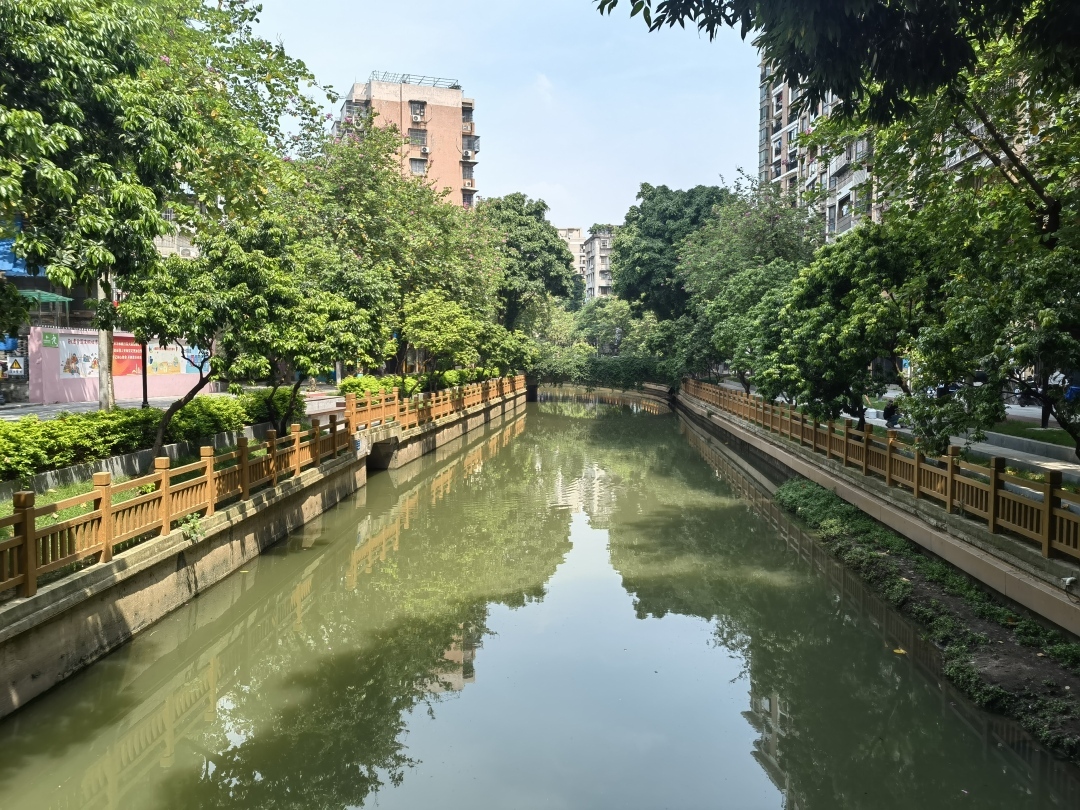 荔灣彩虹街：古水潤民生，打造現代化綠色生態“名片”