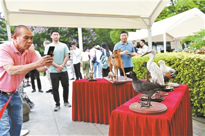 廣州市開展2024年國際生物多樣性日宣傳活動