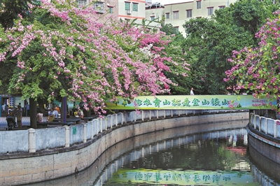 生態治水的“廣州密碼”