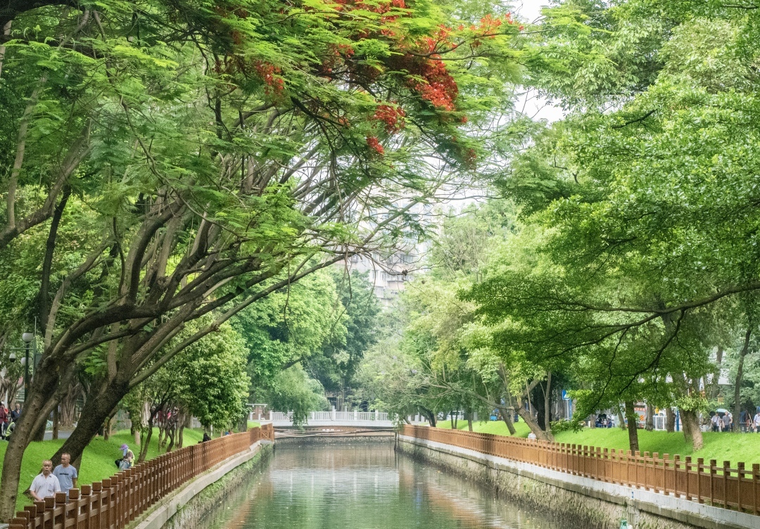 “綠美”共享，打造駟馬涌、荔枝灣高質量濱水空間