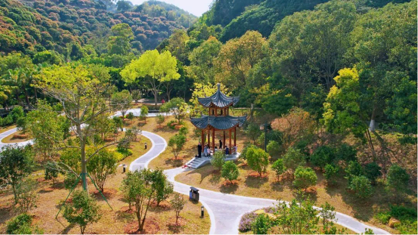 廣州增城：高標準建設廣東太子森林公園綠美示范保護地