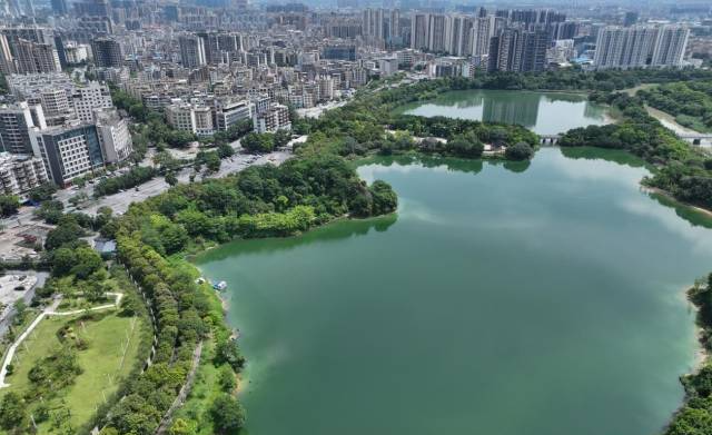 祝賀！花都湖國家濕地公園入選廣東省自然教育基地