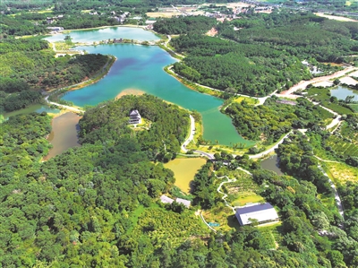 省級綠美碧帶、幸福河湖建設(shè)名單公布 廣州8個項目上榜