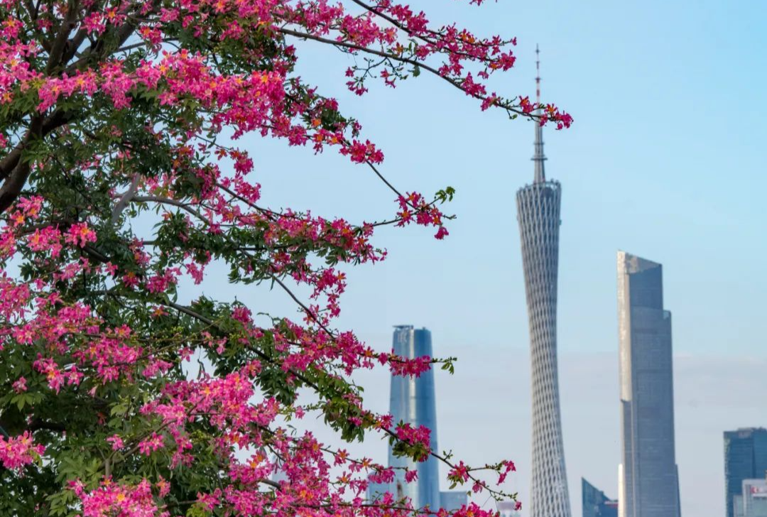 廣州市發布2024年第3號總林長令
