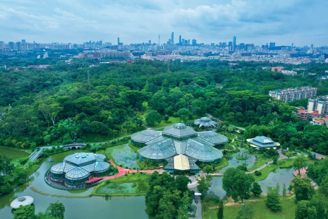 串聯廣州三大森林公園！市中心森林步道要來了