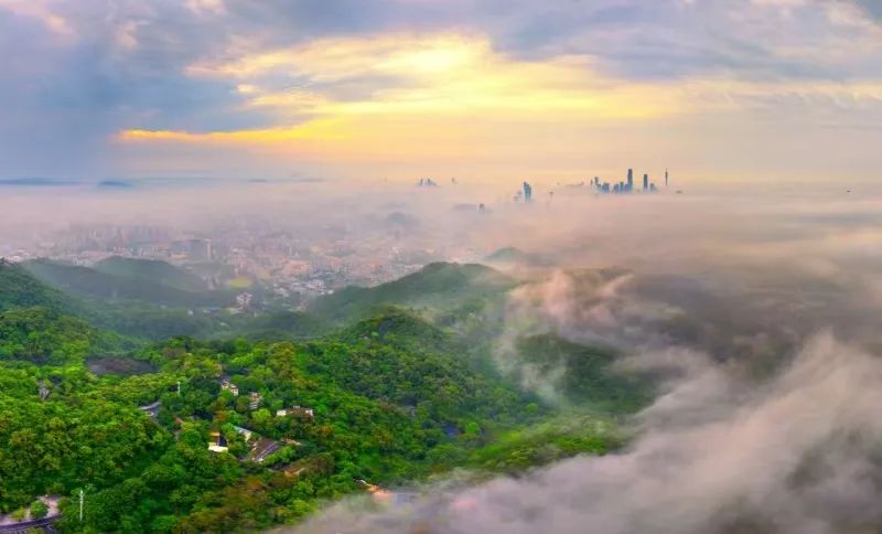 來了！廣州新增一個(gè)國家4A級(jí)旅游景區(qū)！