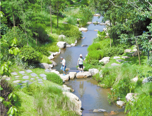 廣州構建從國家植物園到城市公園再到社區綠地的植物遷地保護網絡體系