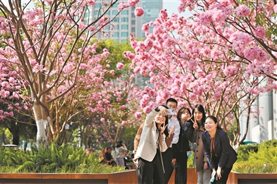 打造美麗中國城市樣板 深入推進綠色轉型 羊城處處向“新”向“美”