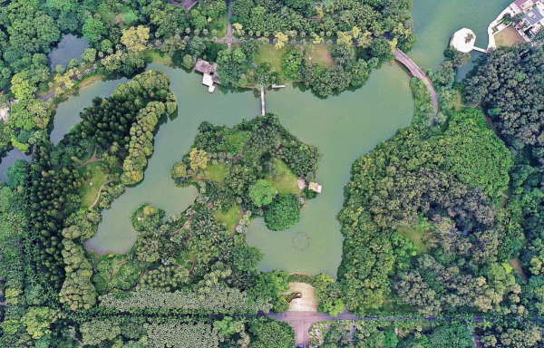 華南國家植物園構建“水下森林” 其生態湖入選廣州市美麗河湖
