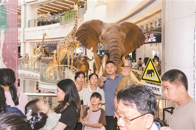廣州著力推動現代商貿業高質量發展 涌現一批全球知名企業