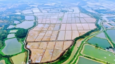 廣州市耕地保護規劃征詢意見