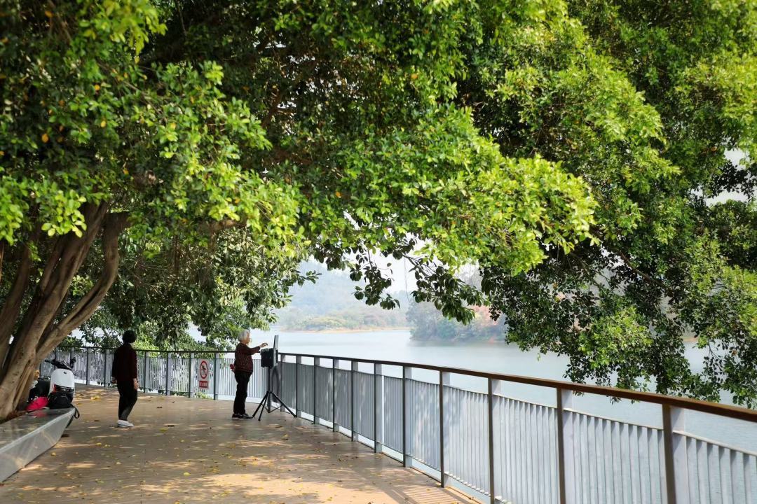 散步、慢跑、騎行、觀景！快來打卡廣州和龍水庫碧道