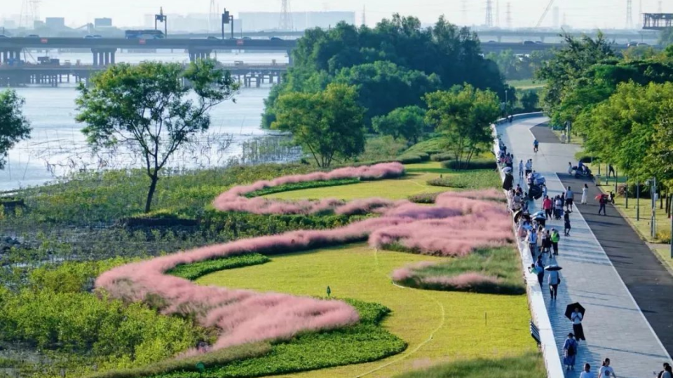 2025年海洋生態(tài)保護修復(fù)典型案例評選結(jié)果出爐 南沙濕地生態(tài)修復(fù)案例入選