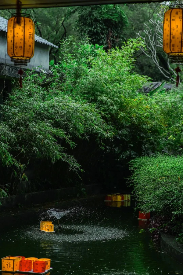 廣州拍照·不是蘇州！是廣州鬧市的避世園林??_9_背著相機去行走??_來自小紅書網頁版.jpg