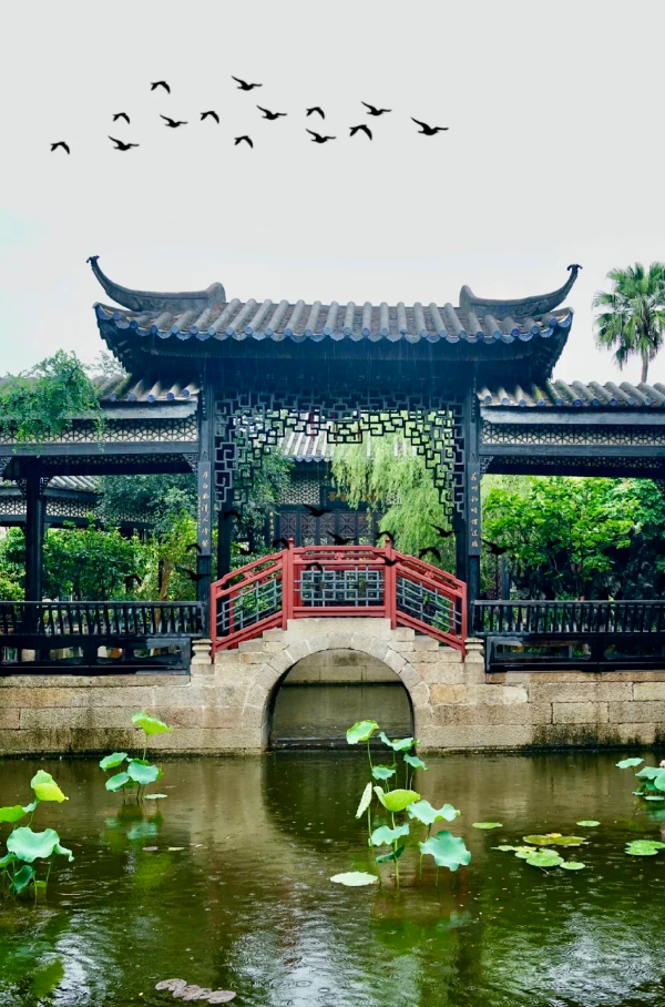 雨天的廣州余蔭山房，拍照太有氛圍感了！_2_小桑哥_來自小紅書網頁版.jpg