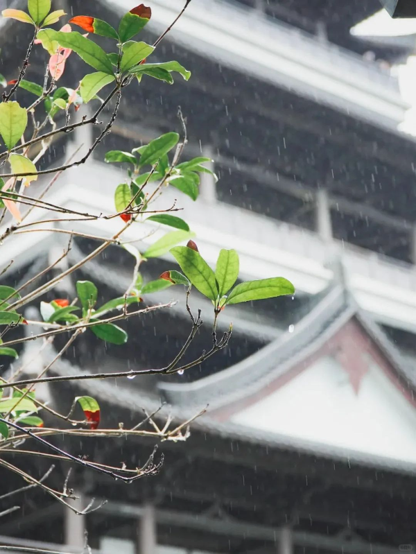 ??下雨天廣州市文化館的打開方式_6_廣州市文化館_來自小紅書網頁版.jpg