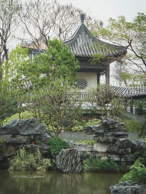 ??下雨天廣州市文化館的打開方式_7_廣州市文化館_來自小紅書網頁版.jpg