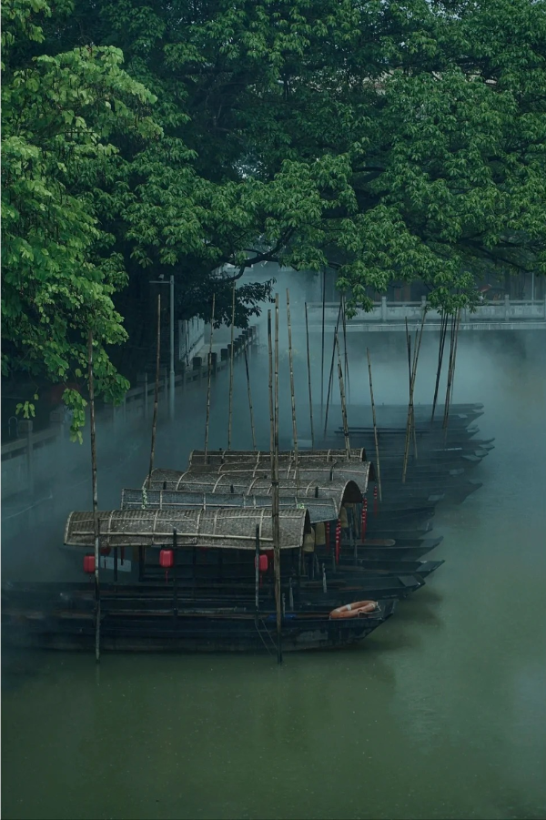 東涌水鄉 _ 廣州的“煙雨江南”，如詩如畫_5_小桑哥_來自小紅書網頁版.jpg