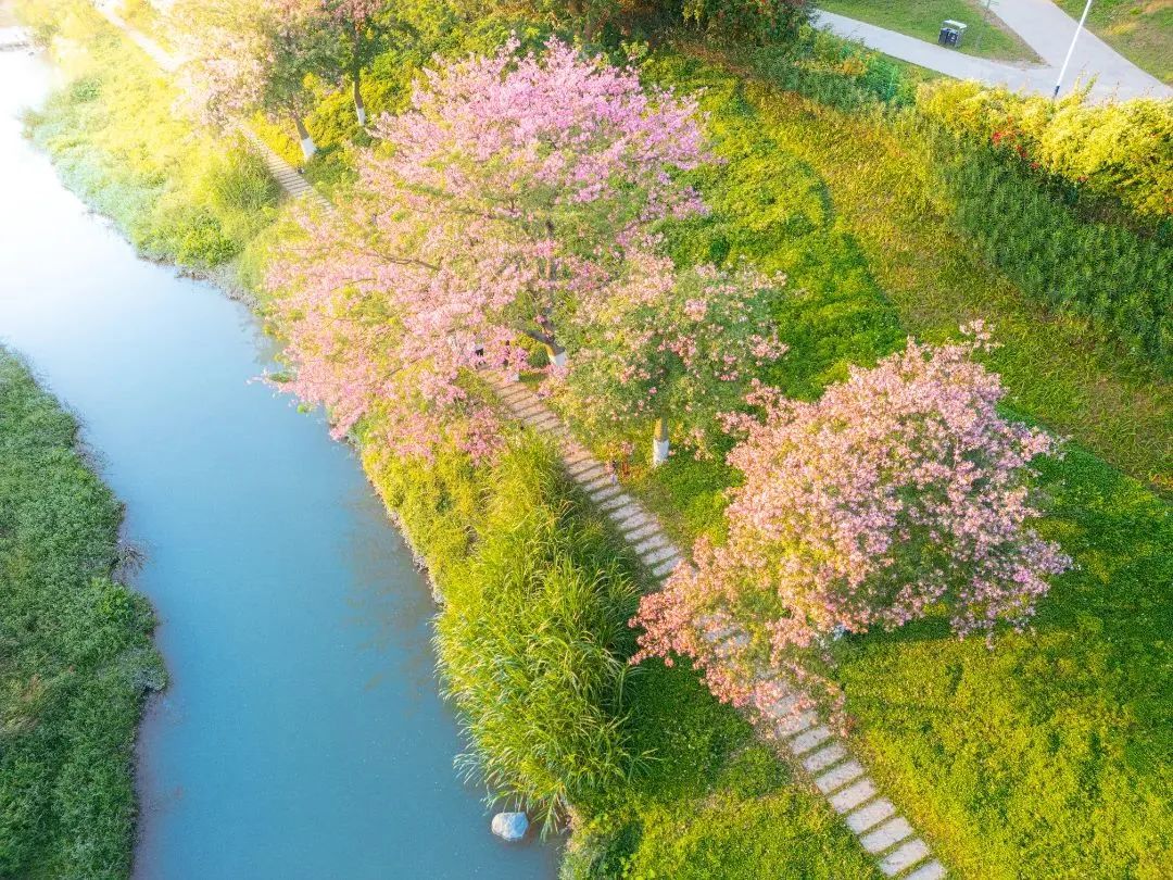 跟著央視鏡頭，看流淌在家門口的廣州幸福河