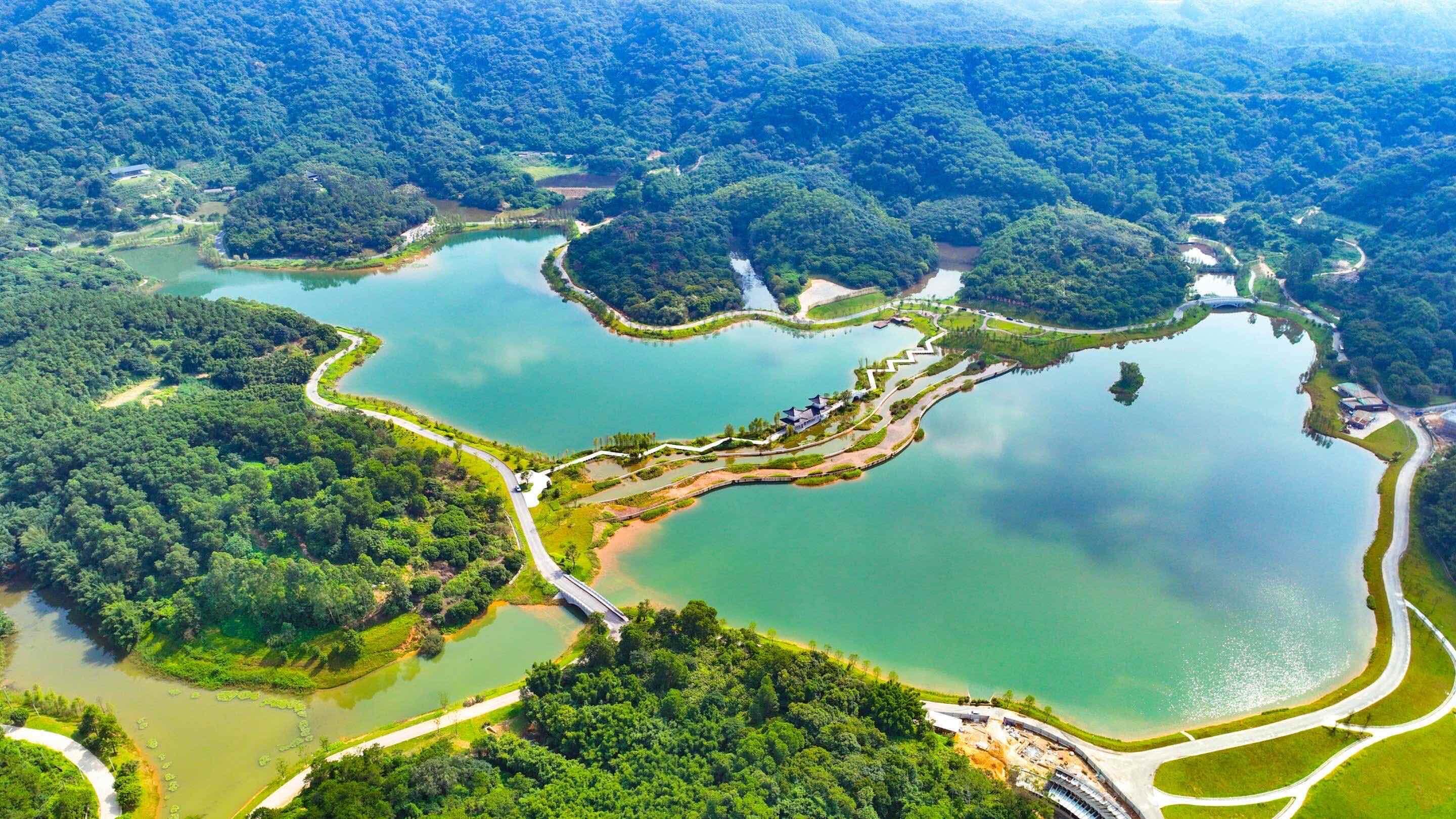 海不揚波激蕩創新活力，黃埔再續“羊城八景”情緣