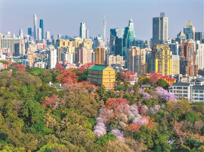 越秀古韻今輝 羊城文旅名片