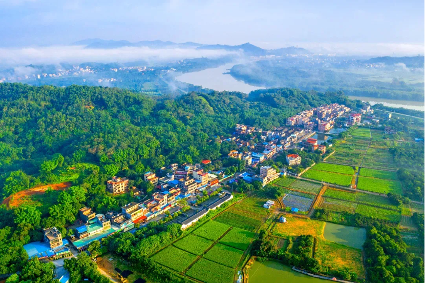 增城美麗鄉村建設交出亮眼答卷