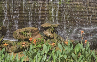 東濠涌入選廣東省美麗河湖優秀案例  城央千年水脈惠澤一方